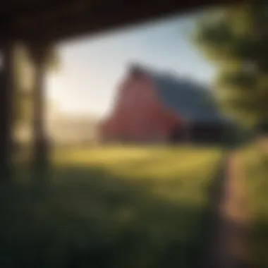 Nature's Light and Barn Beauty A scenic outdoor photograph featuring a barn backdrop enhanced by natural lighting.
