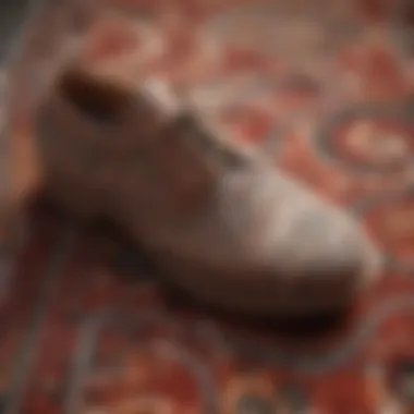 Close-Up of Shoe-Shaped Rug Texture Close-up of the texture of a shoe-shaped rug